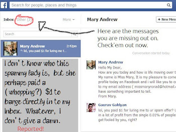 You might be missing out on a few Important Facebook Messages!
