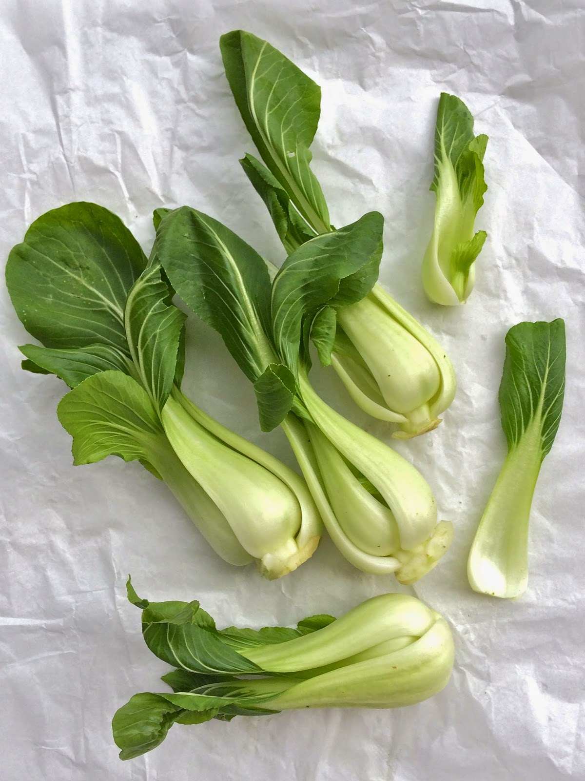 Passionately Raw! : Pak Choi Salad With Sweet And Sour Dressing