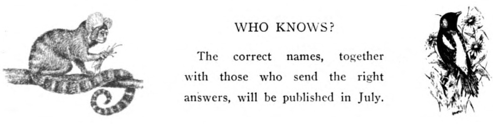 From Stillwater: Insect Ogres