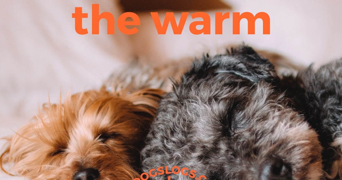 The Orchard Tea Room & Farm Shop Logs for sale Wisbech