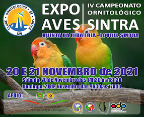 IV Campeonato Ornitológico de Sintra 2021