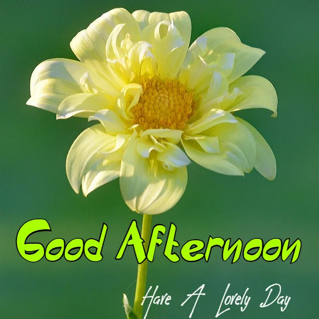 Good Afternoon HD Images Collection Download Good Afternoon HD Images Collection Download