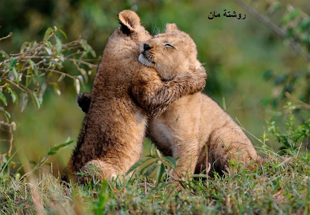 الضغط العصبي | بعض الطرق لعلاج الضغط العصبي الضغط العصبي | بعض الطرق لعلاج الضغط العصبي