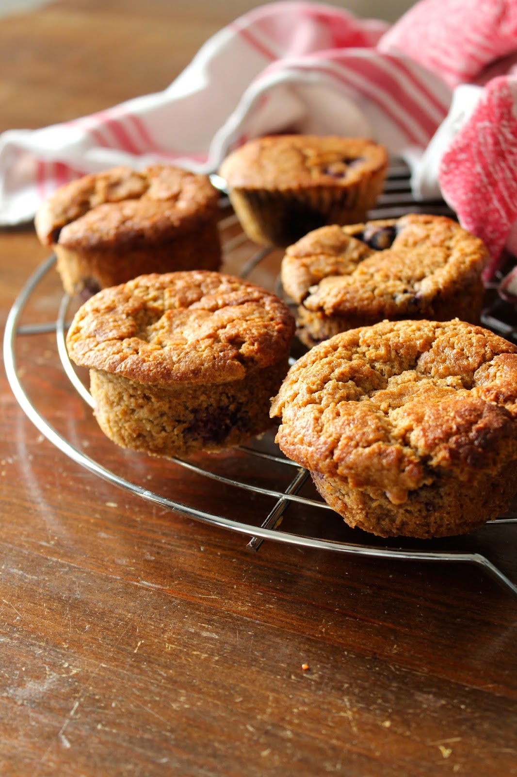 Muffins de Aveia e Mirtilos