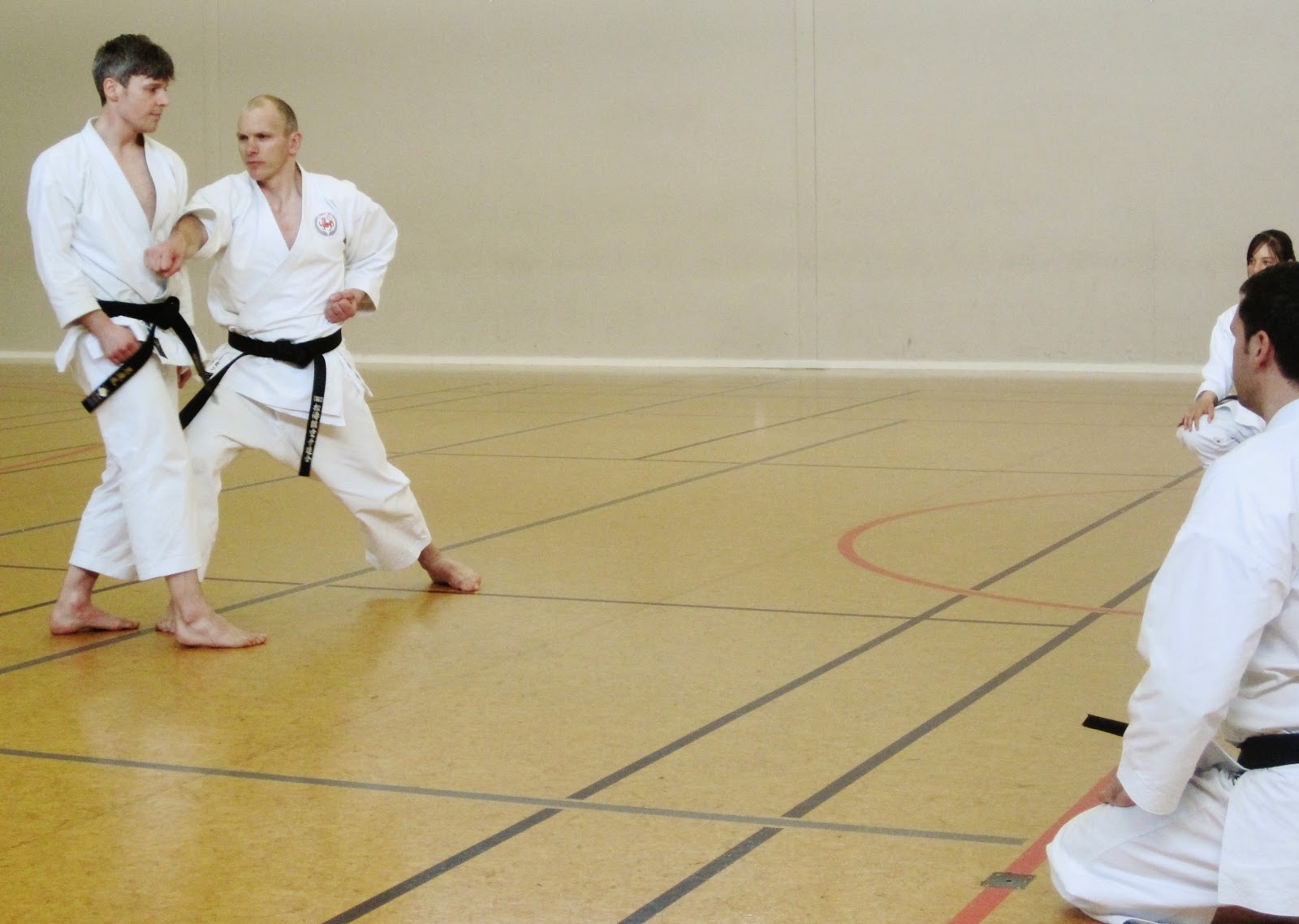 André Bertel's KarateDo Seminar Report Palmerston North 2012