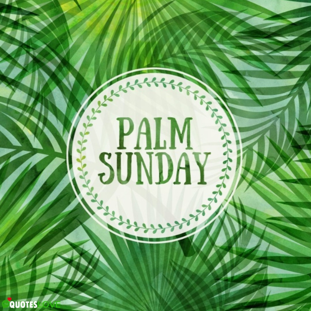Latest Palm Sunday 2020 Images Photos Posters Wallpaper latest-palm-sunday-2020-images-photos-posters-wallpaper