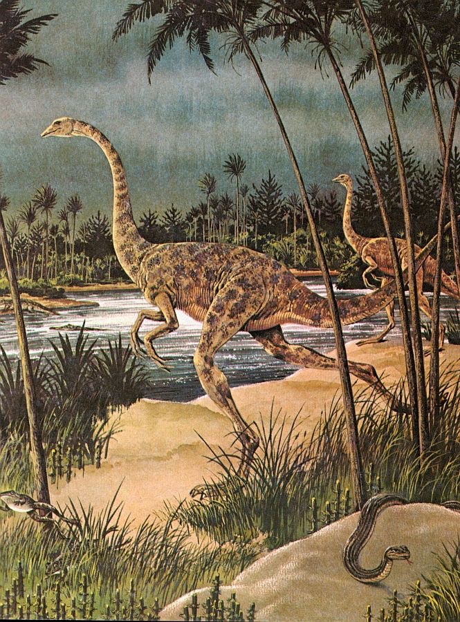 Dinossauros | Dinosaurs - Fox Press™