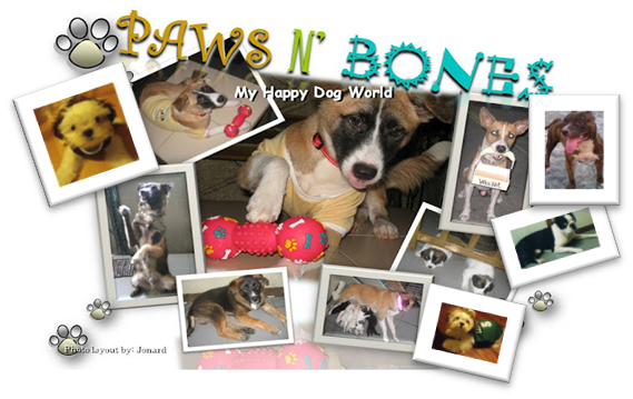 My Happy Dog World by Paws and Bones