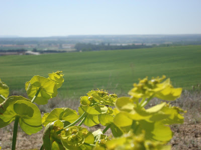 PUEBLOS Y LUGARES: VILLAMARCIEL
