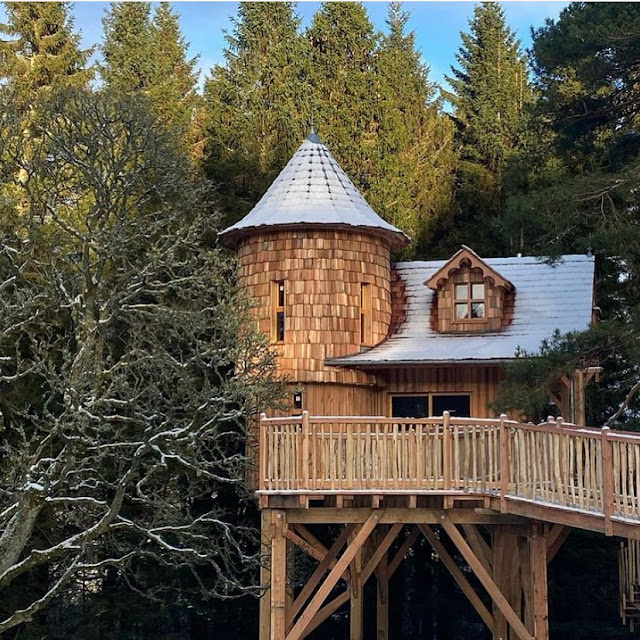 Where can I stay in a Treehouse in North East England? North East