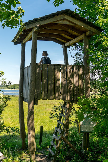 Westerwaldsteig Etappe 6 von Freilingen nach Nistertal  Westerwälder Seenplatte – Stöffelpark 07