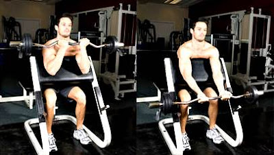 Weight training workout routine for ectomorph or thin men Weight training workout routine for ectomorph or thin men