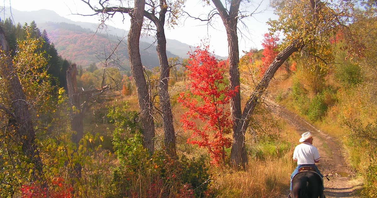 Dream Packer Trail Adventures North Fork Bicentennial Trail, Utah