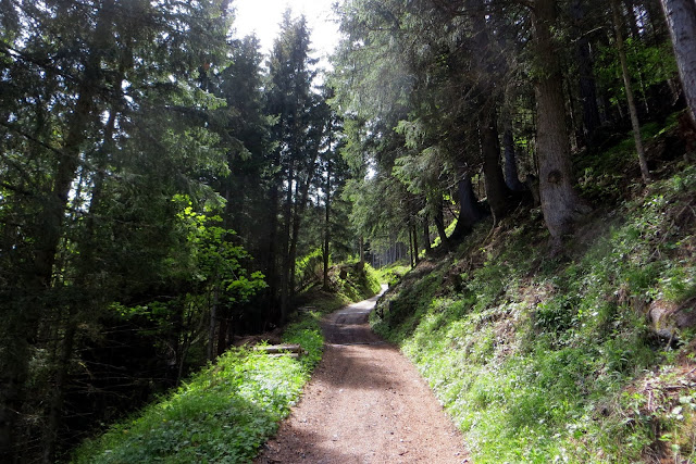 rifugio sasso bianco