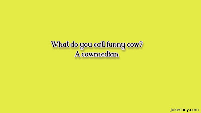 Best Cow Jokes