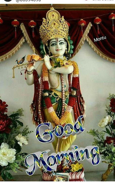 Top 10 Good Morning Happy Krishna Janmashtami Wishes, Images, Greetings ...