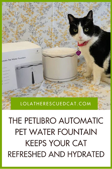 Petlibro Automatic Pet Water Fountain