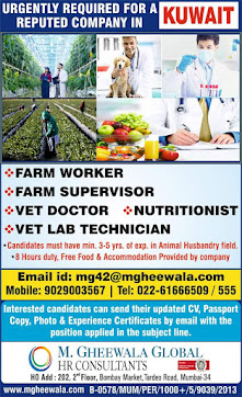 Gulf%2BJob%2BPaper%2B%252872%2529