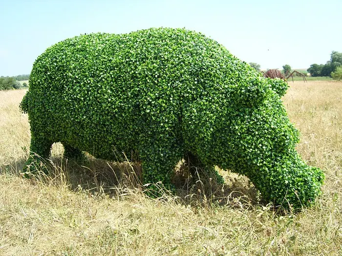 Scultura vegetale | L'arte Topiaria