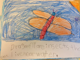 Mrs Jump's class: Insect Learning Fun, Freebies and a Sale!