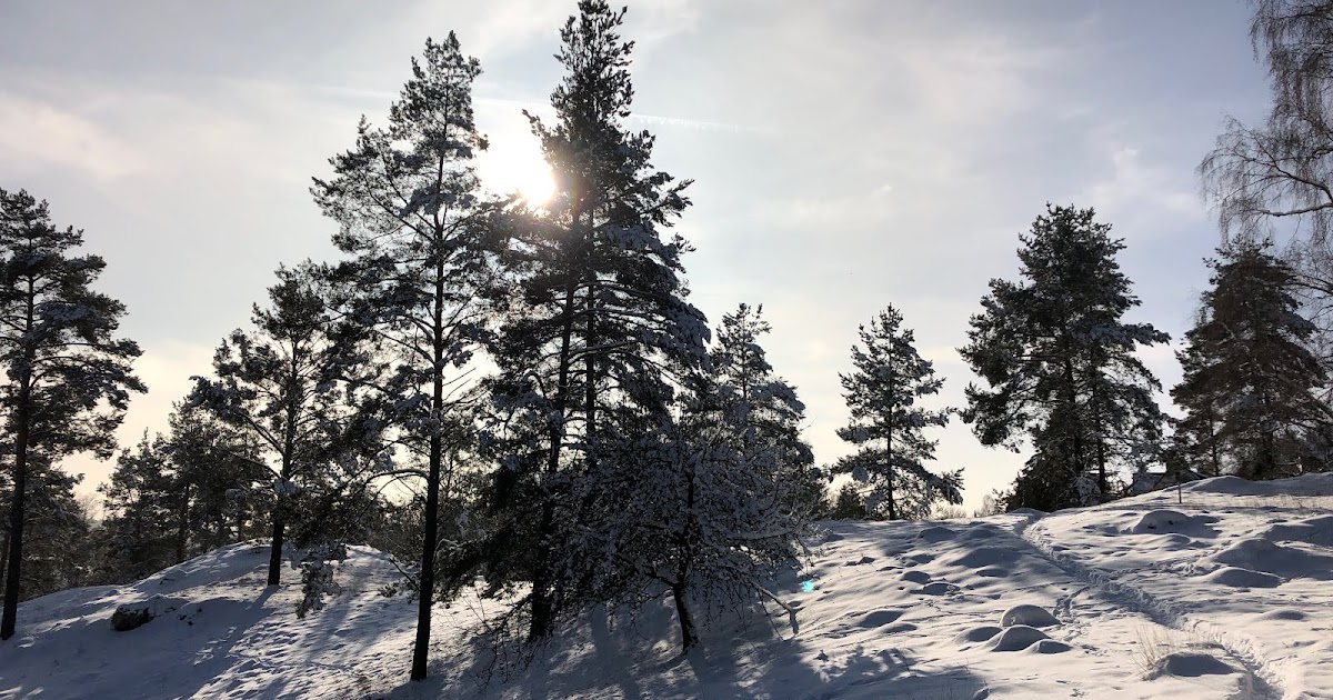 Amor Kartoffelsack Regionales Gemuse Aus Dem Gewachshaus Im
