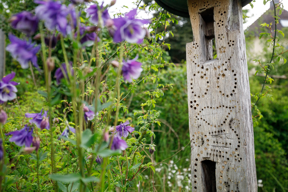 Stockgeflüster Tausende Gärten Tausende Arten