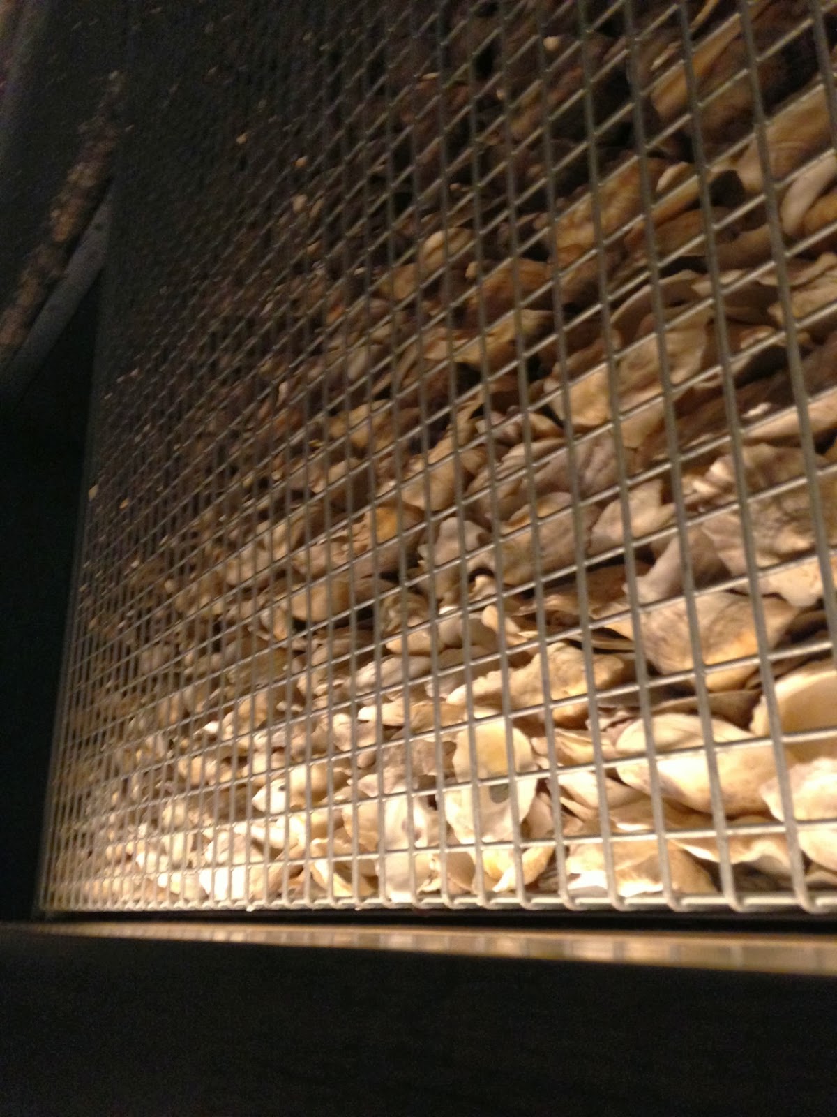 The New Glitterati Boston!