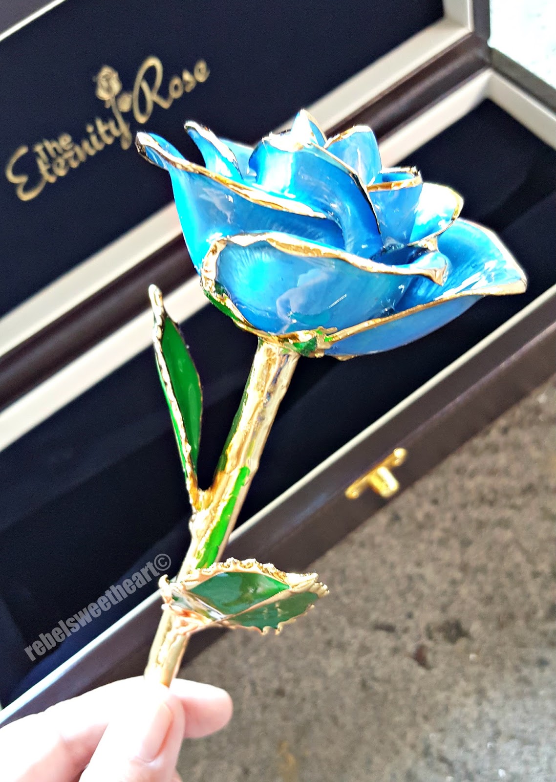 The Rebel Sweetheart. Spotlight The Eternity Rose.