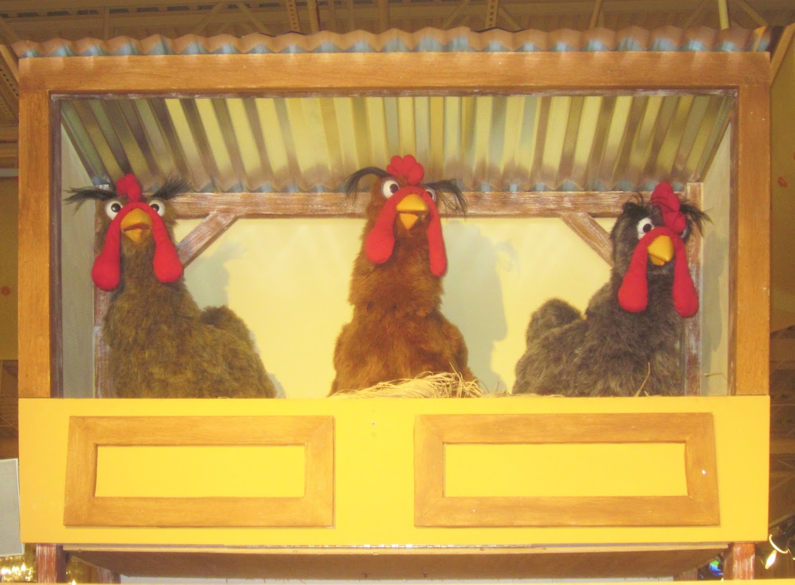 Our Adventures Amongst The Ducks Twelve Posts In TwentyOne Days