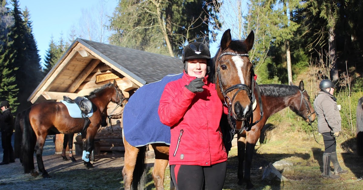 Lieblingspferd: Winterausritt am 30.12.2016