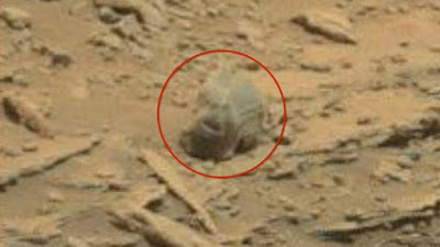 Mars skull, anomaly skulls on Mars life on Mars