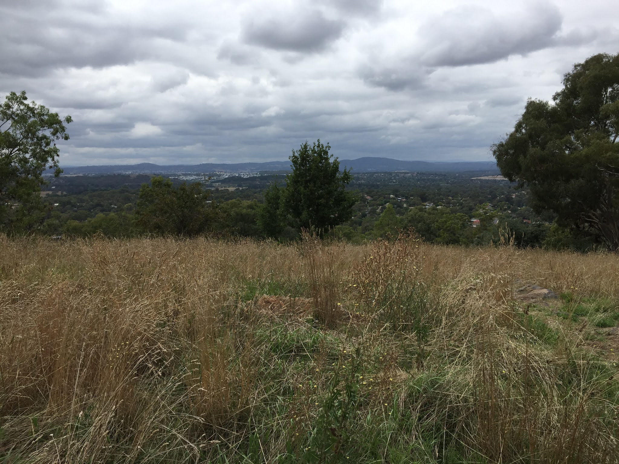 Phil's Bushwalking Blog Urban Canberra Spence, Melba and Mt Rogers