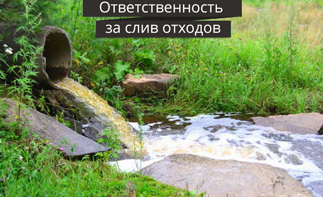 Соседи сливают нечистоты на ваш участок или улицу — куда обращаться и что делать 