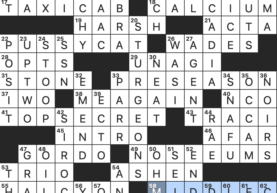 Rex Parker Does the NYT Crossword Puzzle: 1940s combat zone in brief