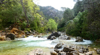 Sierra de Cazorla, Ruta del Río Borosa.
