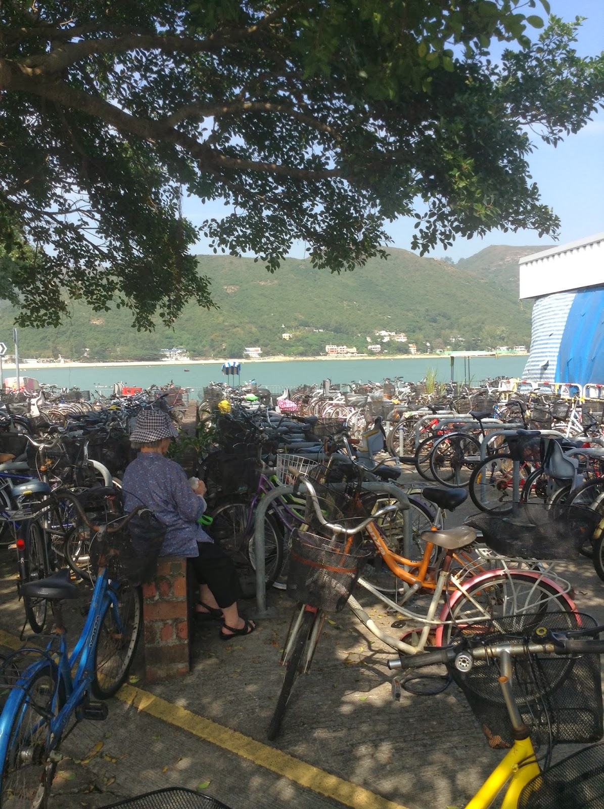 Dim Sum and Long Runs The best Nachos this side of Sydney