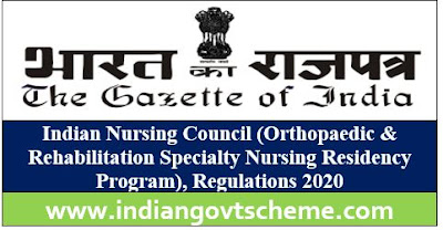 Indian Nursing Council