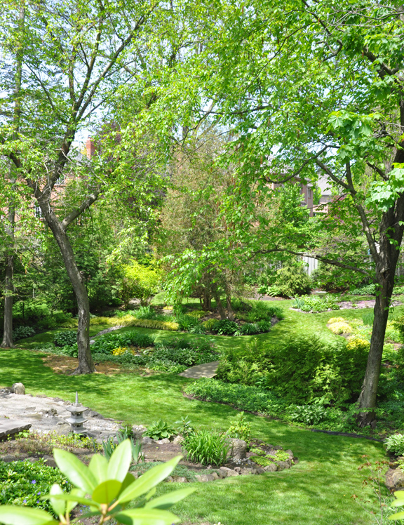 Three Dogs in a Garden: An Asian-Inspired Garden, Part 2: The Backyard
