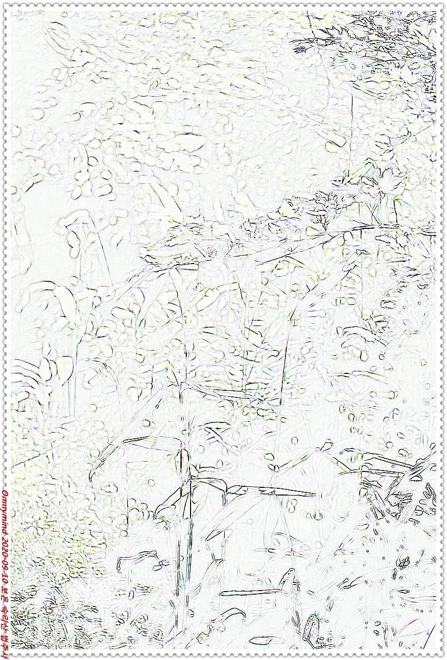 속리산 법주사 속리산 법주사