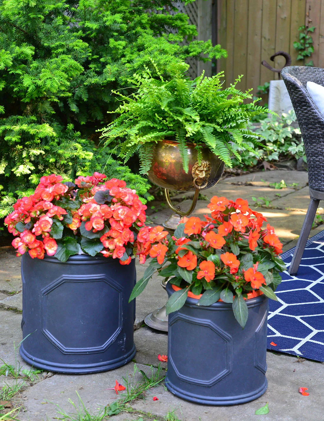 outdoor backyard dining, summer entertaining tips, begonia in planter, orange summer flowers