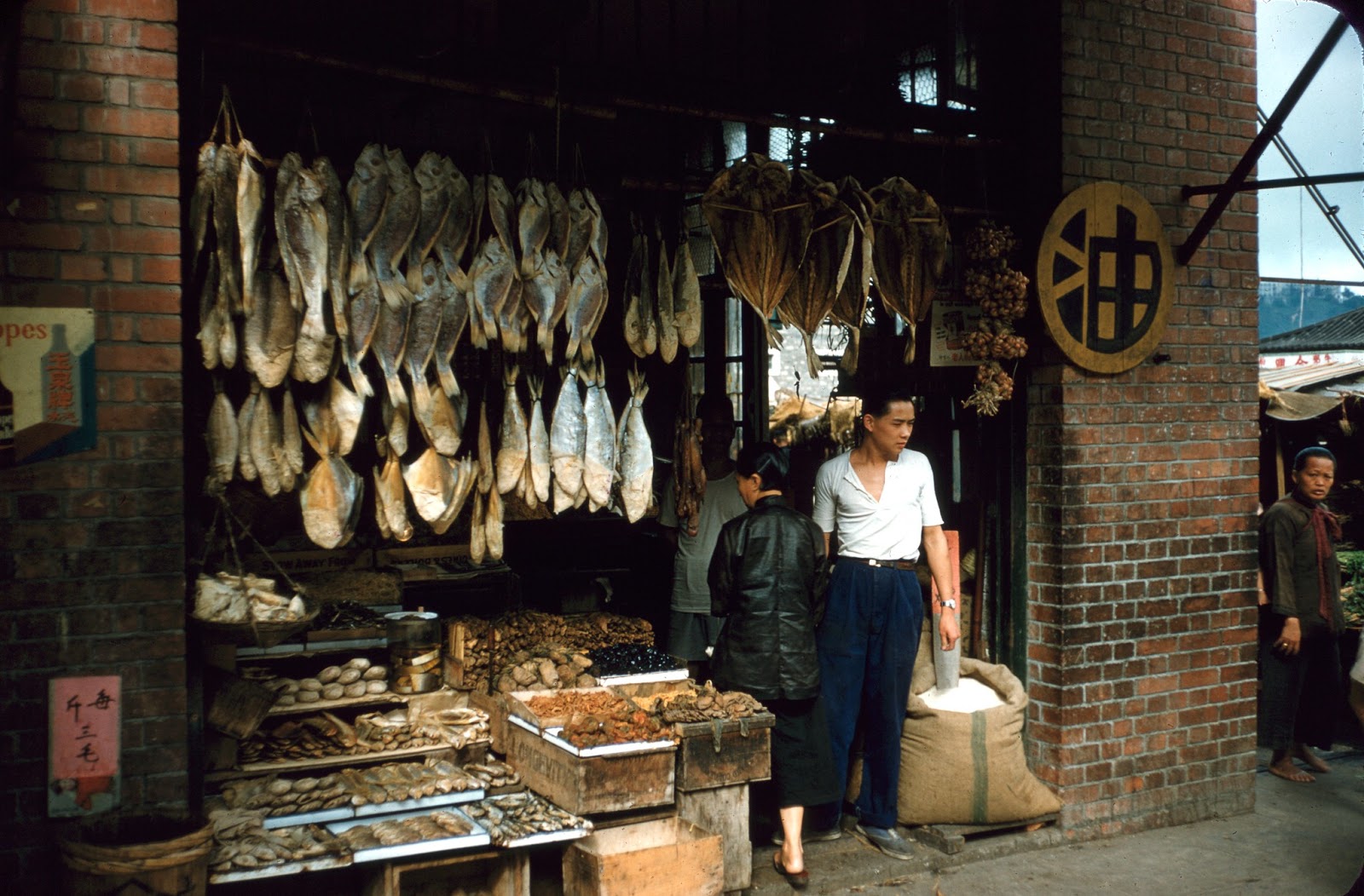 hong kong photographs 1950s