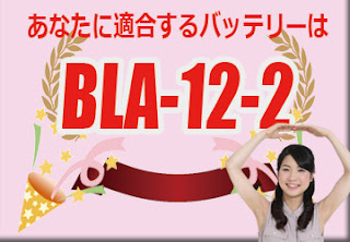 BLA-12-2 　バッテリー　規格　適合