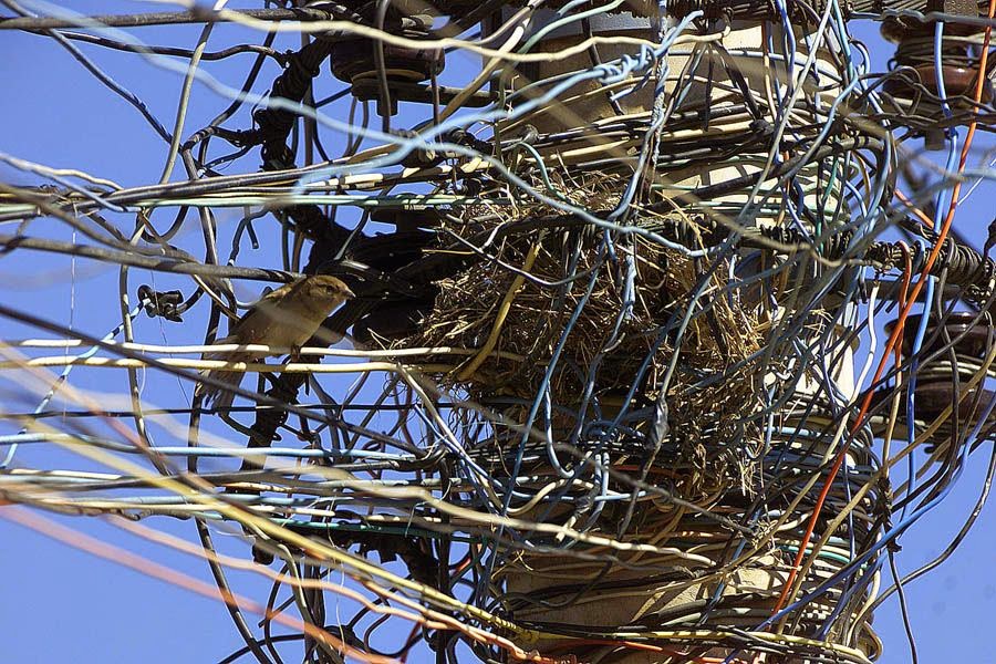 A photo showing a telephone post with a lot of wired tangled together in a messy way