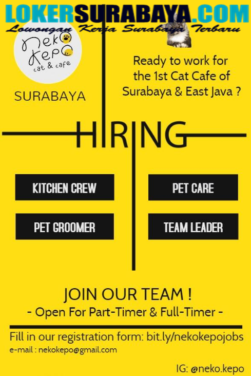 Loker Surabaya Terbaru Di Neko Kepo Cat And Cafe Juni 2019 Lowongan Kerja Surabaya Juni 2021 Lowongan Kerja Jawa Timur Terbaru