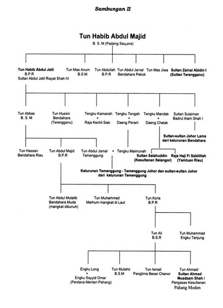 Johor dinasti kesultanan Dinasti Politik