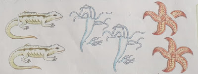 Growth in living things Growth in living things