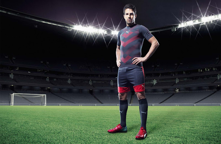 puma evopower dragon