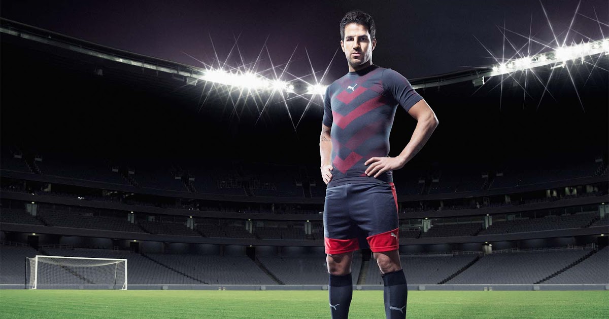 puma evopower 1.2 dragon