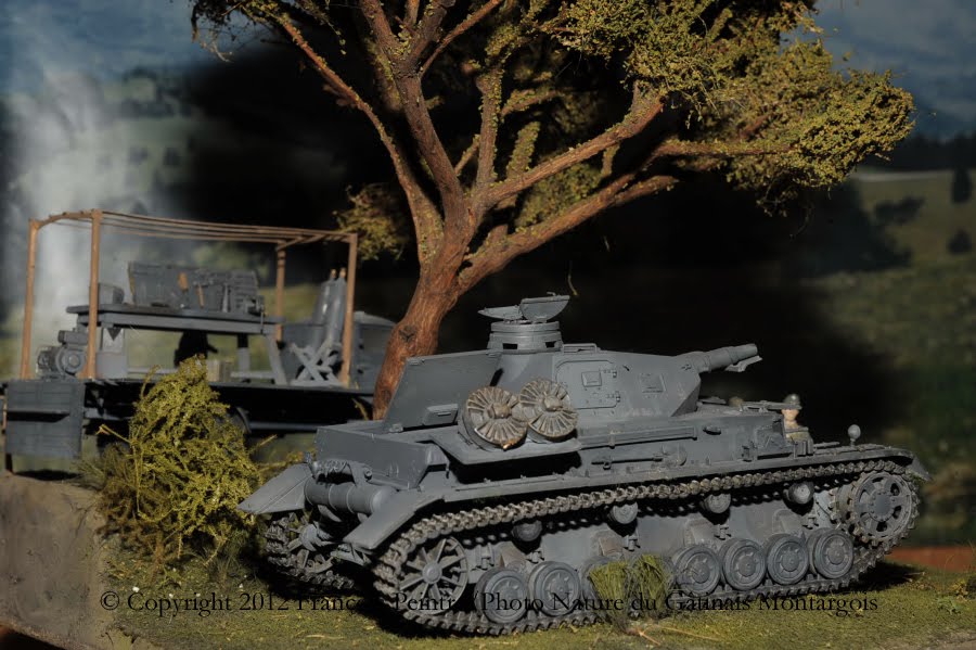 Panzer IV ausf D