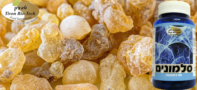 צמחי מרפא לאיחוי שבר ובניית סחוס ומוח עצם